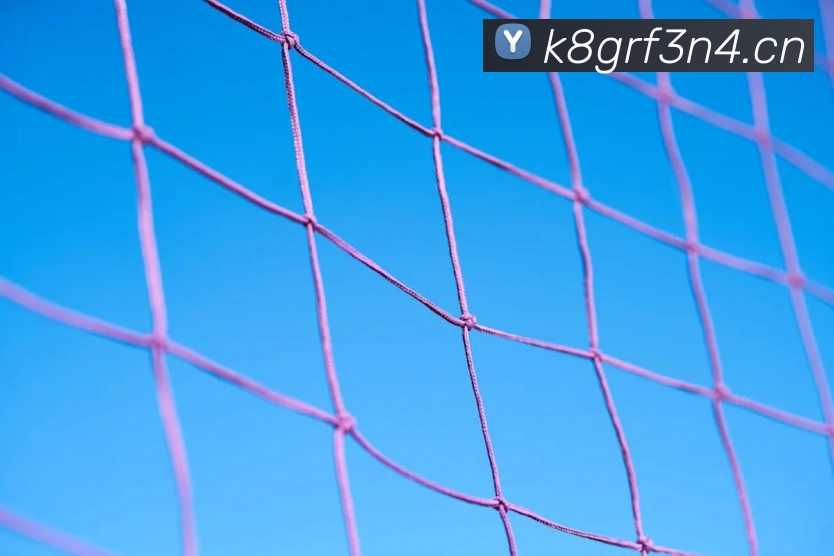 星空体育app官网登录发展历程